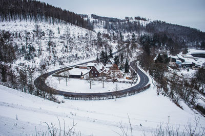 Trees by snow covered land