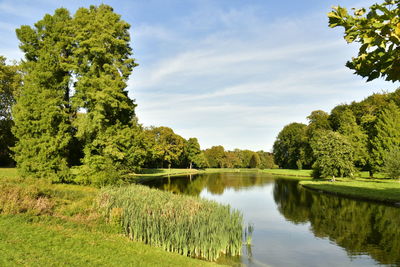 Scenic view of lake by trees against sky