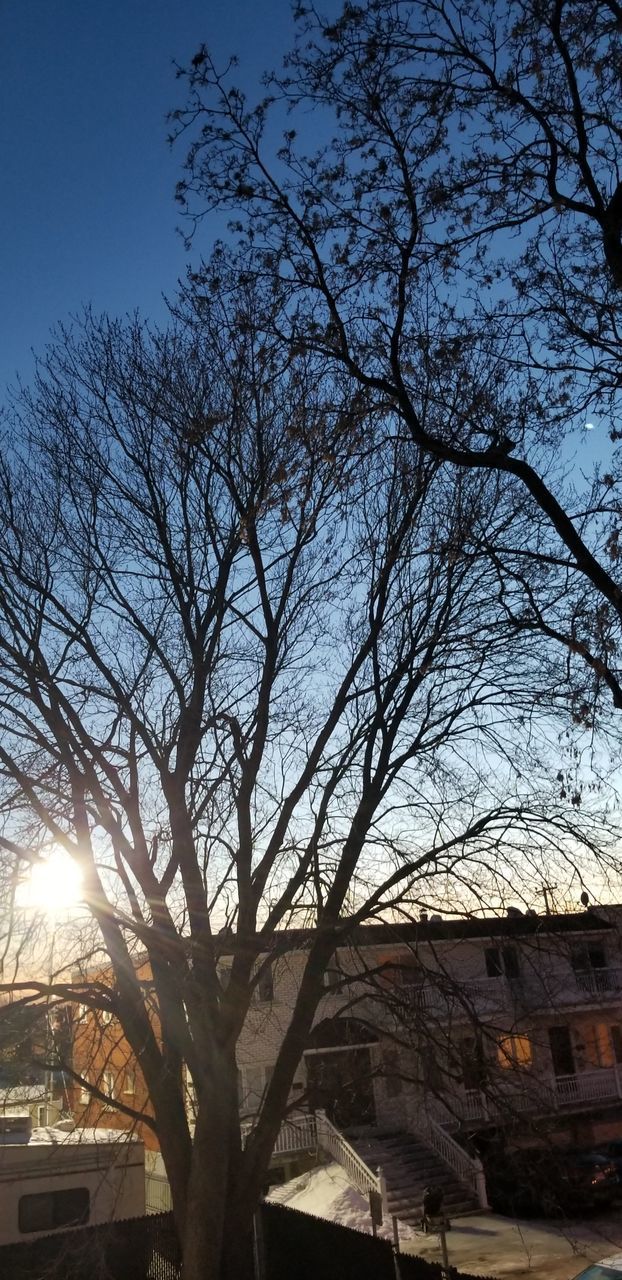 LOW ANGLE VIEW OF BARE TREES AND BUILDING AGAINST SKY