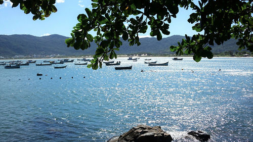 View of boats in sea