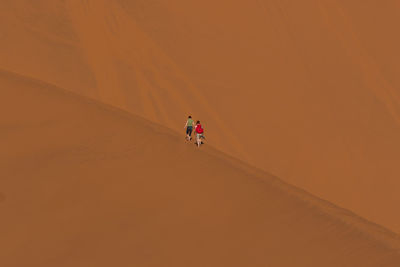 Rear view of people walking at desert