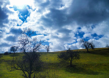 Scenic view of grassy field against cloudy sky