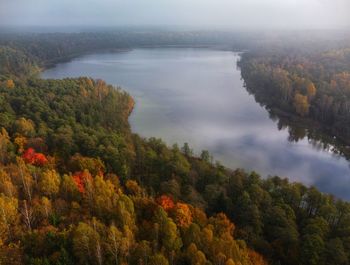 High angle view of trees in forest during autumn