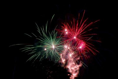 Low angle view of firework display at night