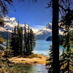 Scenic view of lake in forest against sky