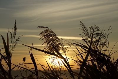 Scenic view of landscape against sky at sunset