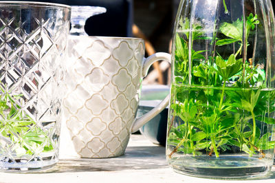 Close-up of drink on table