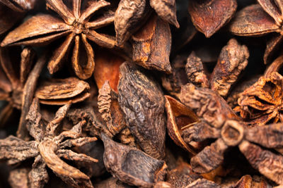 Close-up of dried leaves