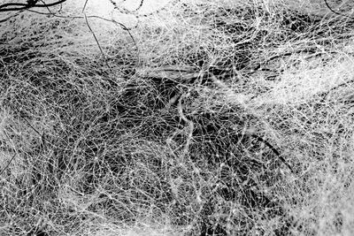 Full frame shot of grass on field