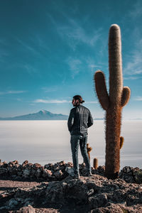 Man standing on rock by sea against sky