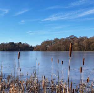 Scenic view of lake against sky