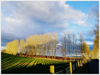 Panoramic view of landscape against sky