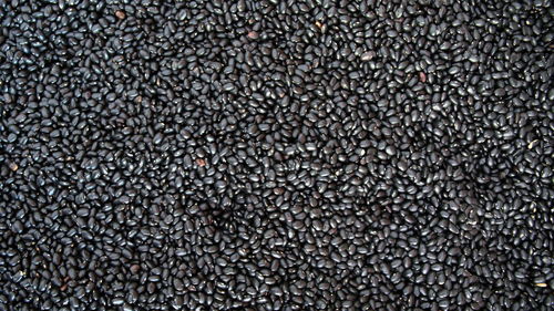 Full frame shot of black beans