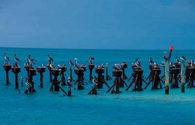 Group of people at beach against blue sky