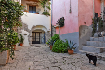 A narrow street between old houses in venosa, town in basilicata region, italy.