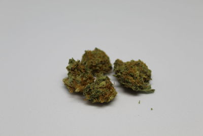 Close-up of food against white background