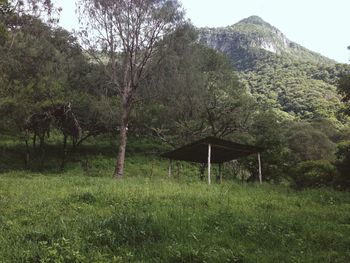 Scenic view of mountains