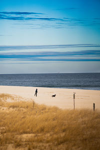 Man playing fetch with the dog on the beach.