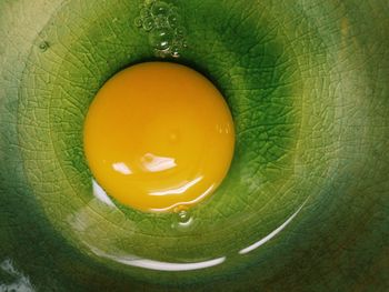 High angle view of drink on green background