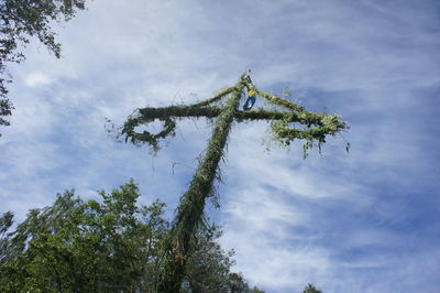 Low angle view of trees against cloudy sky