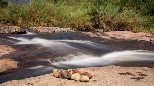 Scenic view of river flowing against plants