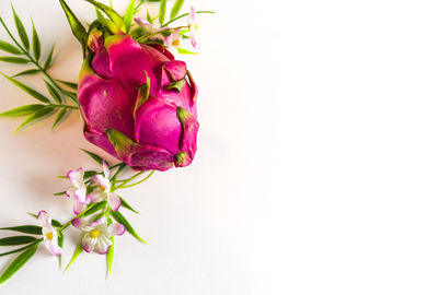 Close-up of purple flowers against white background