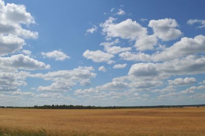 Scenic view of field against cloudy sky