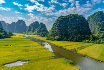 Scenic view of green landscape against sky