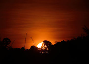 Silhouette of trees at sunset