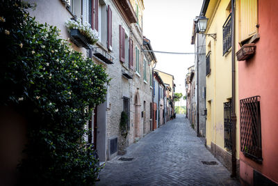 Narrow alley amidst buildings in city