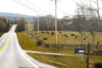 Road passing through landscape