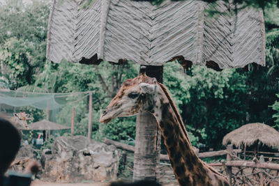 View of a zoo