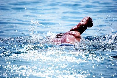 Man swimming in sea