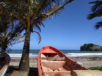 Palm trees on beach against sky