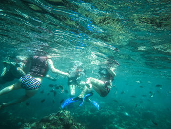 Aerial view of turtle swimming in sea