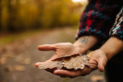 Close-up of hand holding an autumn leaf