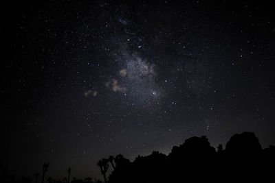 Low angle view of silhouette trees against sky at night