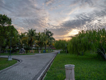 Road amidst trees on field against sky at sunset