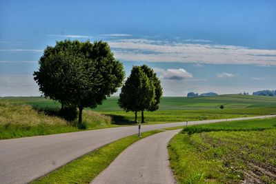 Road amidst trees on field against sky