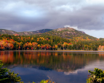 Scenic view of lake by trees against sky