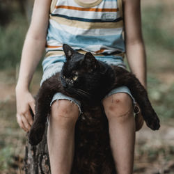 Seasoned cat with boy