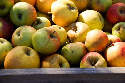 Close-up of apples for sale in container