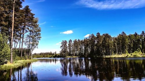 Scenic view of lake in forest against blue sky