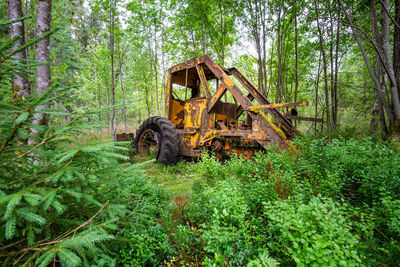 Abandoned truck on road amidst trees in forest