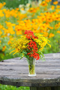 Close-up of red flowering plant