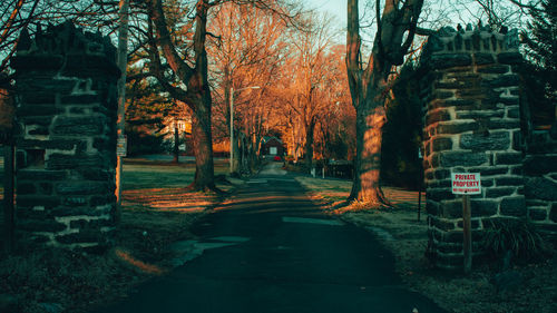 Empty road amidst trees and buildings