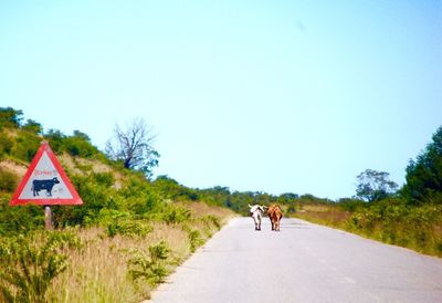 View of country road against clear sky