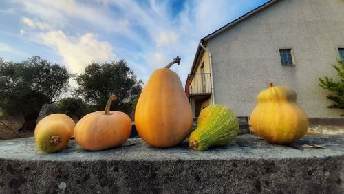 Pumpkins on house against sky