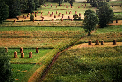 Hay bales on field against trees