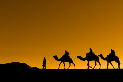 Side view of silhouette people riding camels in desert against clear sky during sunset